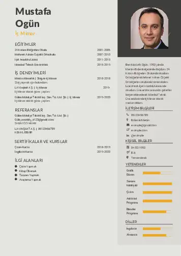 cv indir